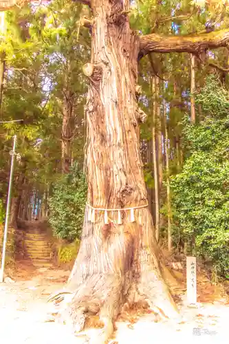 山神社(宮城県)