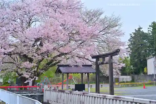 冨知神社(静岡県)