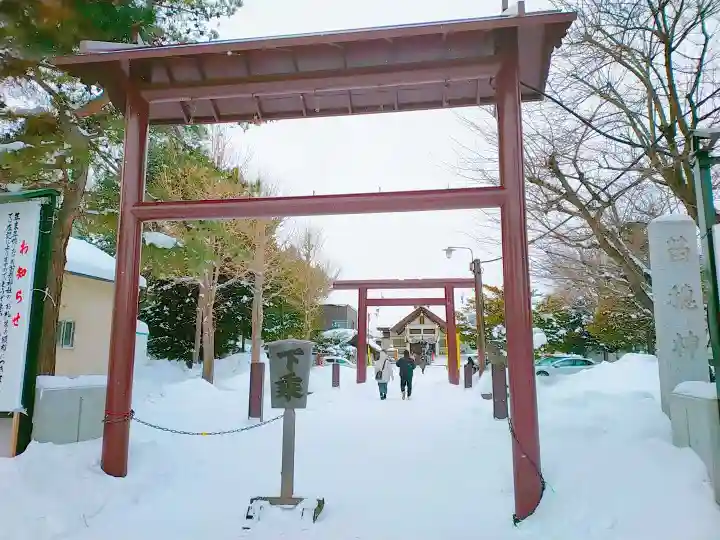 苗穂神社の鳥居