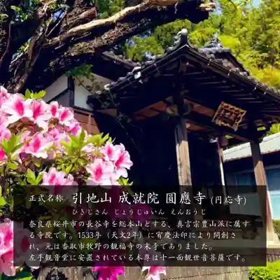 成田観音 円応寺の本殿・本堂