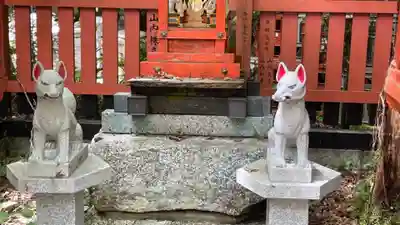 金剛稲荷神社の狛犬