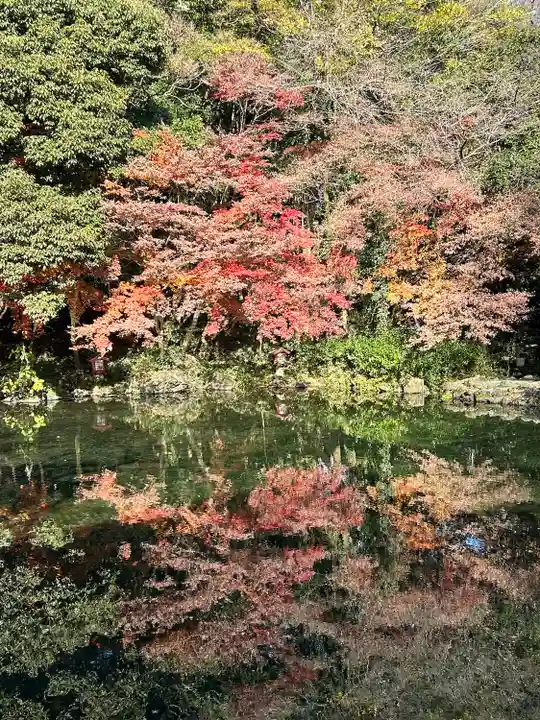 富士山本宮浅間大社(静岡県)