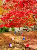 土津神社|こどもと出世の神さま(福島県)