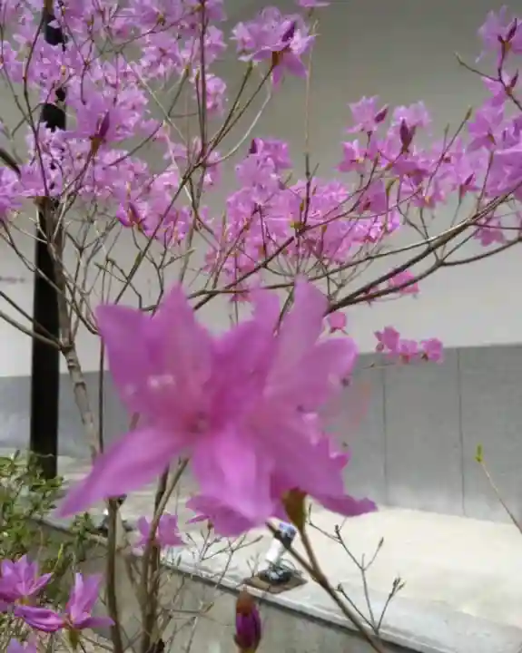 園城寺(三井寺)(滋賀県)