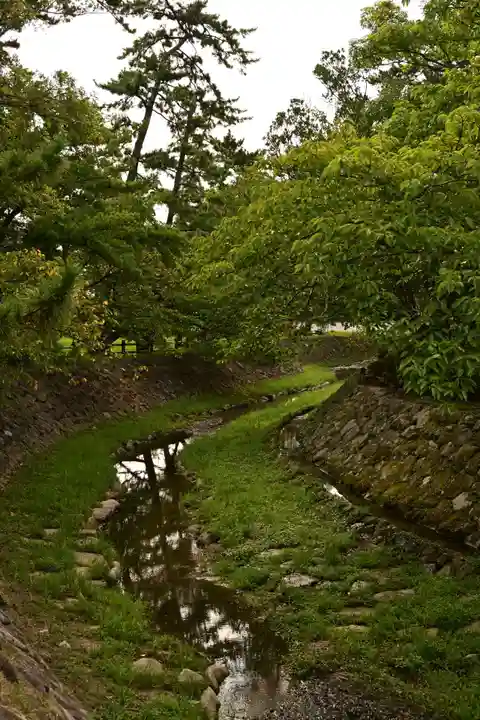 出雲大社(島根県)