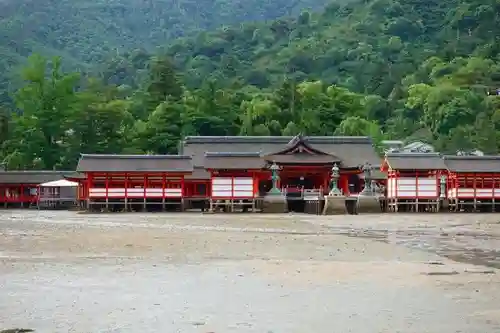 厳島神社の本殿