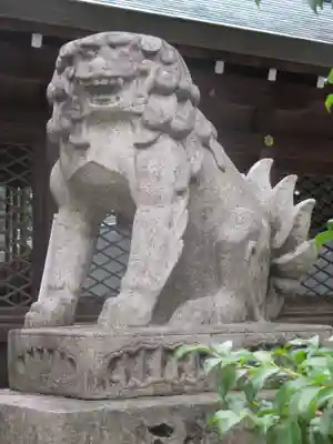 御霊神社(上御霊神社)の狛犬