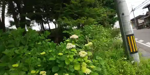出雲大神宮の自然