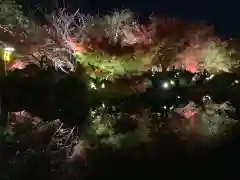 東寺（教王護国寺）の景色