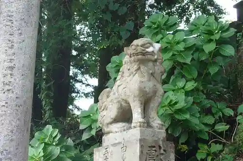 四社神社(高知県)