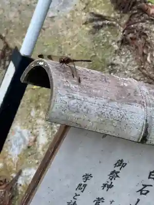 鹿島大神宮(福島県)