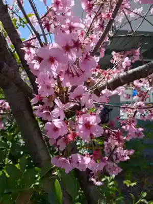 阿邪訶根神社(福島県)