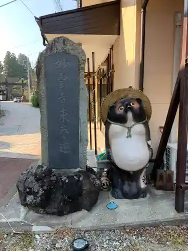 妙雲寺の狛犬