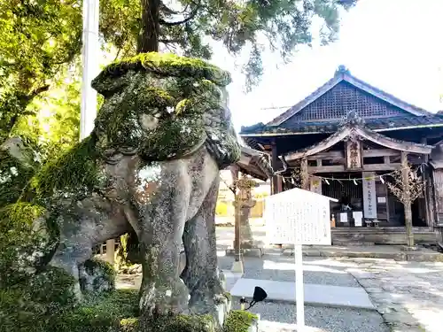 老神神社の狛犬