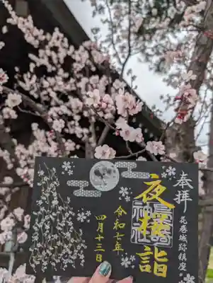 鳥谷崎神社(岩手県)