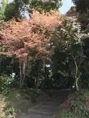 雷電神社の建物その他