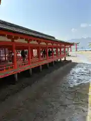 厳島神社(広島県)