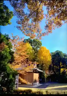 阿佐ヶ谷神明宮(東京都)