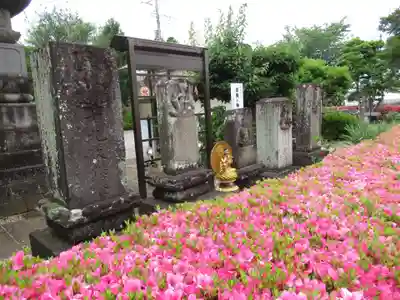 真光寺(千葉県)