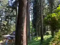 大宮温泉神社(栃木県)