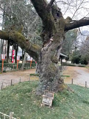 世良田東照宮(群馬県)
