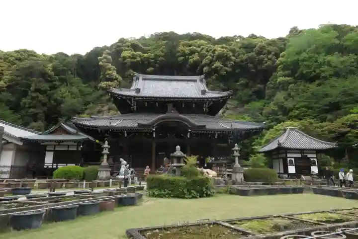 三室戸寺の{uncategorized: "未分類", other: "その他", undefined: "問題あり", building: "その他建物", grave: "お墓", sacred_gate: "鳥居", guardian: "狛犬", statue: "像", buddha: "仏像", history: "歴史", nature: "自然", garden: "庭園", animal: "動物", pagoda: "塔", temizu: "手水舎", mountain_gate: "山門・神門", sanctuary: "本殿・本堂", subordinate: "末社・摂社", art: "芸術", scenery: "景色", jizo: "地蔵", ema: "絵馬", goshuin: "御朱印", omikuji: "おみくじ", items: "授与品その他", amulet: "お守り", goshuincho: "御朱印帳", eats: "食事", festival: "お祭り", votive_dance: "神楽", shichigosan: "七五三参", wedding: "結婚式", experience: "体験その他", initially: "初詣", around: "周辺", anti_infection: "感染症対策"}