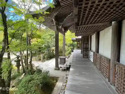 西明寺(京都府)