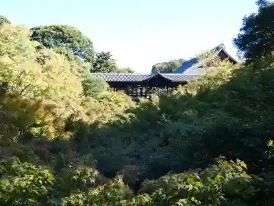 東福禅寺（東福寺）(京都府)