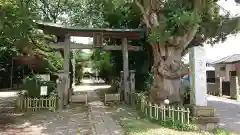 畑子安神社の鳥居