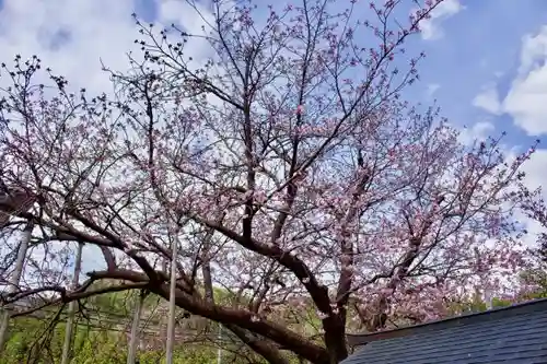 春日神社の庭園