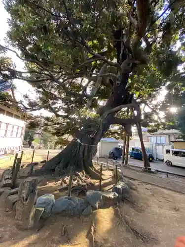 九重神社(埼玉県)