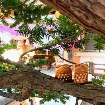 彌彦神社　(伊夜日子神社)の像