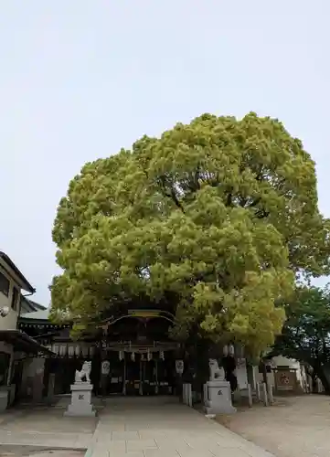 石津神社(大阪府)