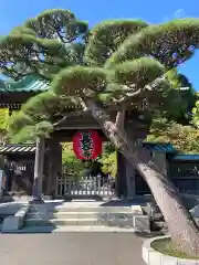 長谷寺の山門