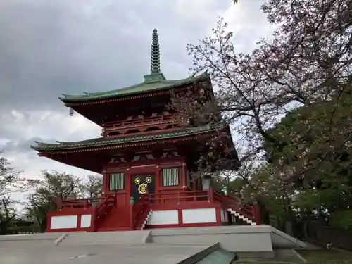 孝道山(神奈川県)