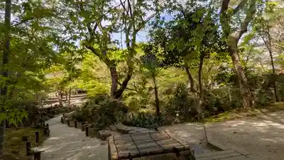 圓光寺(京都府)