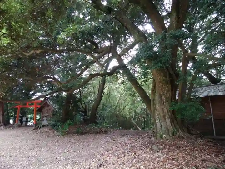 長浜神社(島根県)