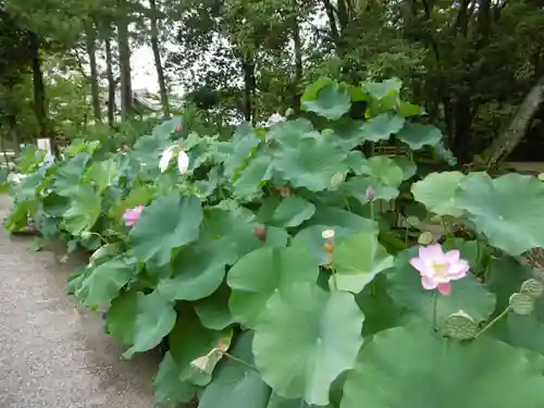 唐招提寺の自然