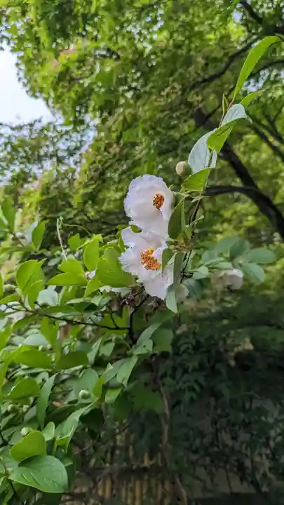 海印寺寂照院(京都府)