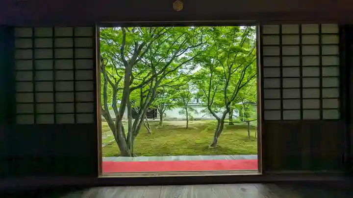 妙覺寺(妙覚寺)(京都府)