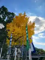 加藤神社(熊本県)