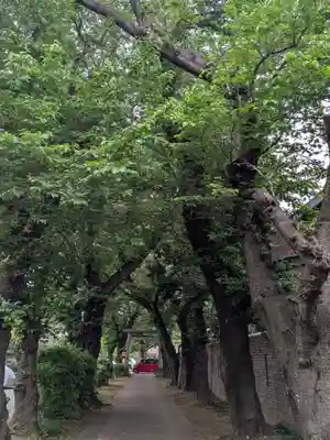 田端神社(東京都)