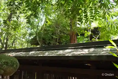 芦屋神社(兵庫県)