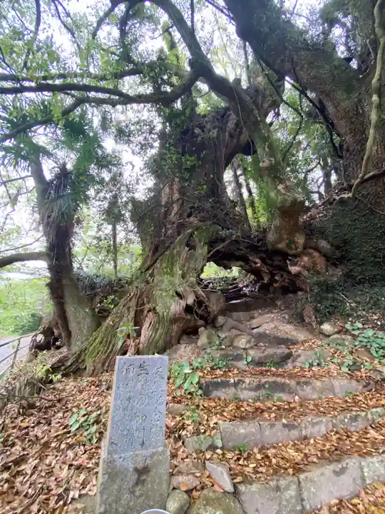 大山祇神社奥の院 生樹の御門(愛媛県)