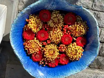 川越八幡宮(埼玉県)