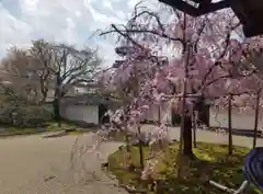 醍醐寺(京都府)