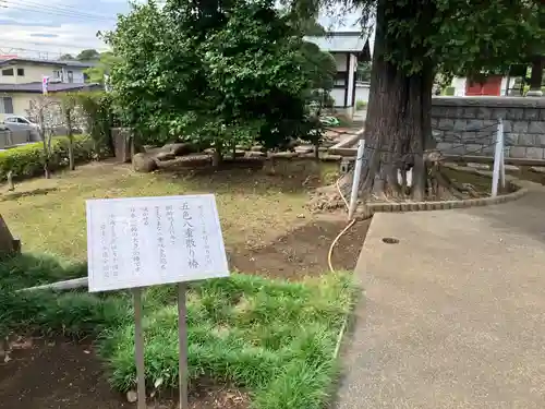 保井寺(東京都)