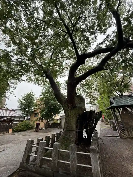阿邪訶根神社(福島県)