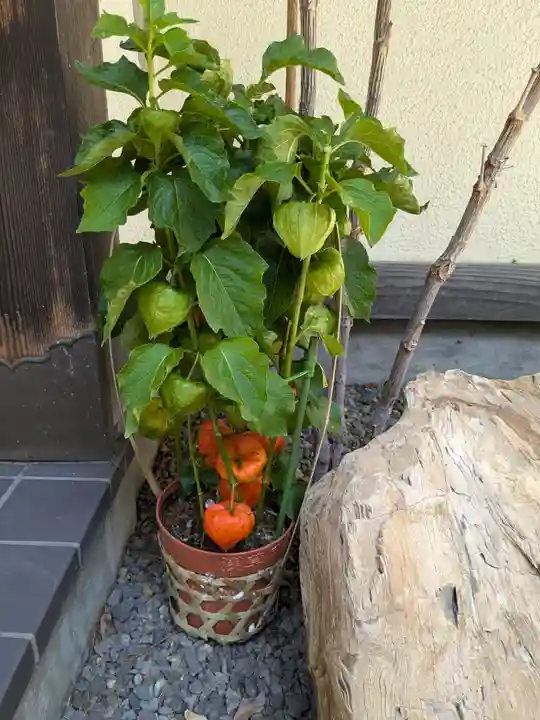 西野神社(北海道)