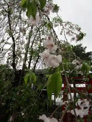 葛井寺(大阪府)